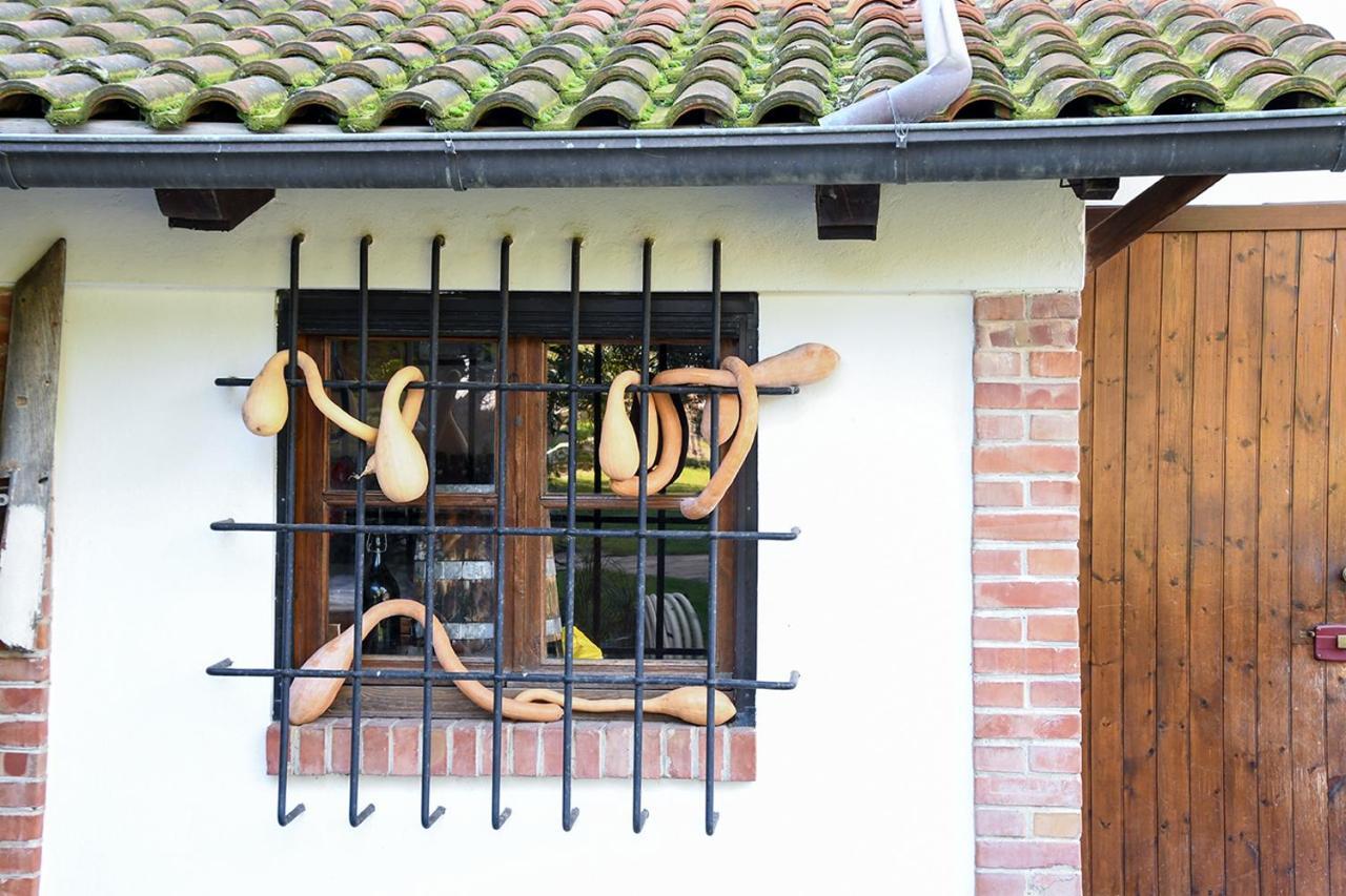 Casa Zafferano Guest House Albenga Luaran gambar